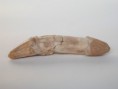 /album/kepgaleria-fenykepgaleria/barlangi-medve-ursus-speleus-tepofoga-11x2-5x2-237-jpg/